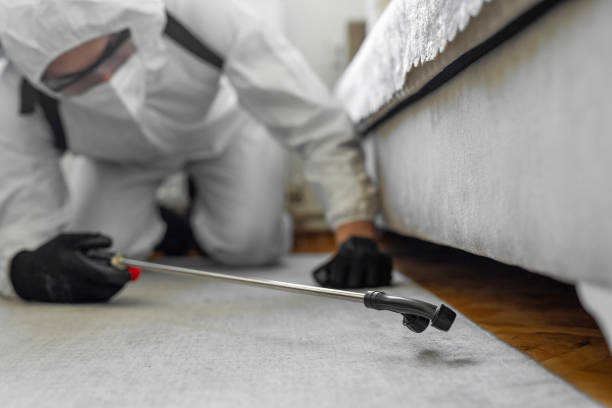 Professional Bed Bug Control technician working in Collinsville, VA