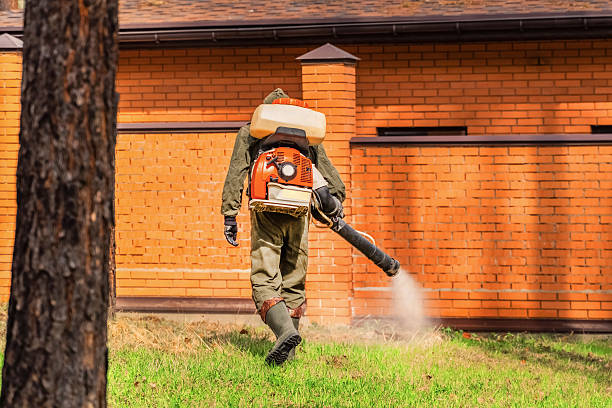 Top rated local Bed Bug Control specialists in Collinsville, VA
